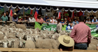 Alto Maipo una vez más presente en fiesta El Relvo 2017