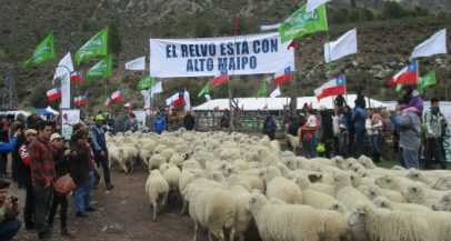 AES Gener presente en fiesta costumbrista El Relvo 2015